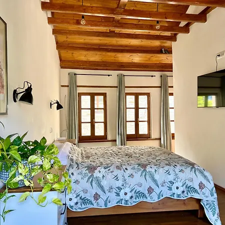 Our Townhouse 公寓 Gjirokastër