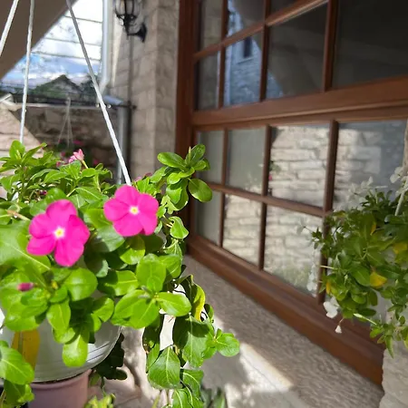 Our Townhouse *